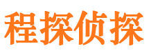 清水市调查公司